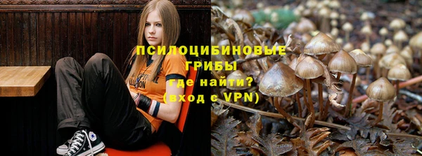 ПСИЛОЦИБИНОВЫЕ ГРИБЫ Алзамай
