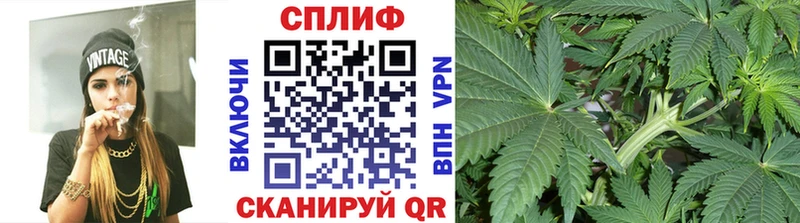 продажа наркотиков  Сунжа  Конопля Bruce Banner 